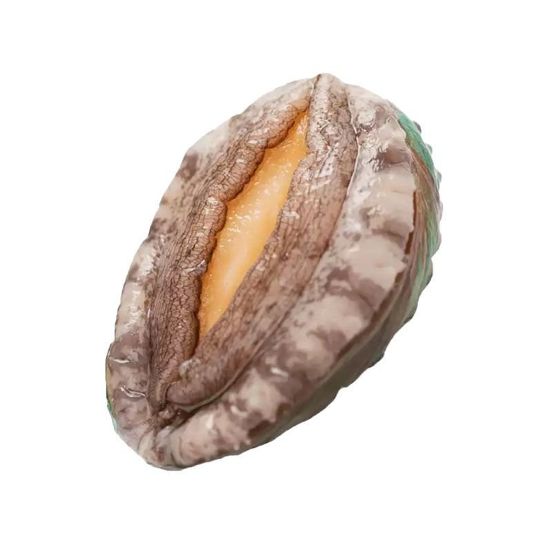 原料产地是中国徐州的赛卡伊冰鲜鲍鱼怎么样?