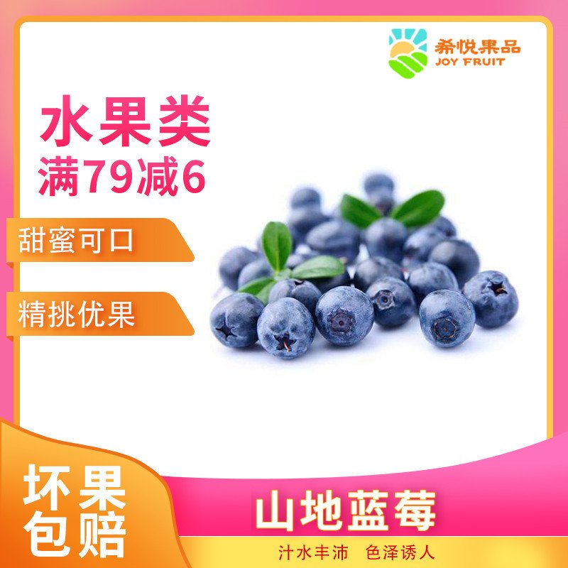 希悦果品 丹东蓝莓 14mm左右