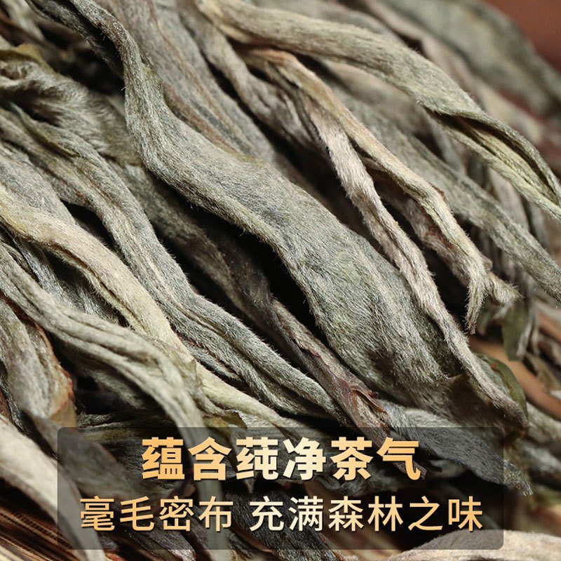 新益号易武精微产区古600龙潭箐古树普洱生茶云南七子饼茶叶357g