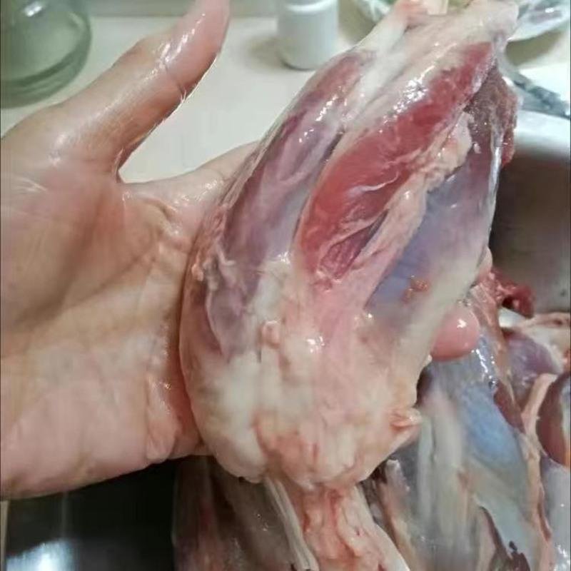 赛卡伊 新鲜牛腱子肉整根生牛肉现杀土牛排放心生鲜 3斤装