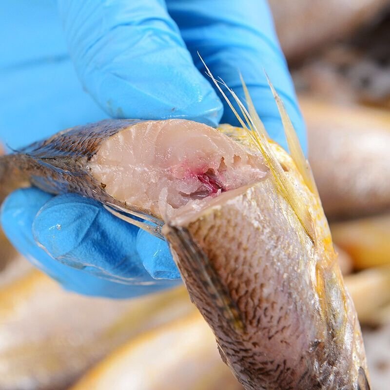 青岛深海小黄鱼新鲜小黄鱼冷冻黄花鱼大黄花新鲜海鲜香酥黄花鱼 豪华大TOAAYAMPJTXJRQNWNXULWHQSNRZ