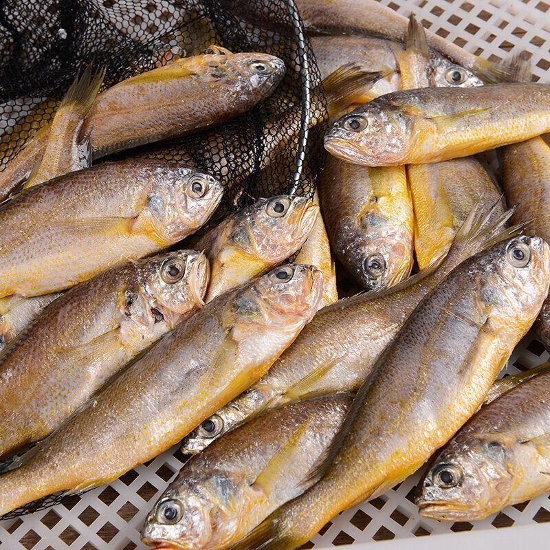 贮存条件是常温的湛航鱼怎么样?-苏宁头条
