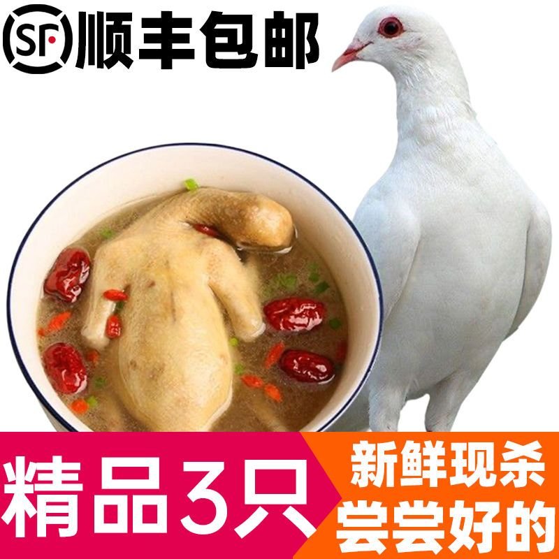 赛卡伊 新鲜乳鸽3只土鸽子农家散养老鸽子放飞活体乳鸽子肉鲜现杀煲汤 乳鸽5只装（每只300g以上）