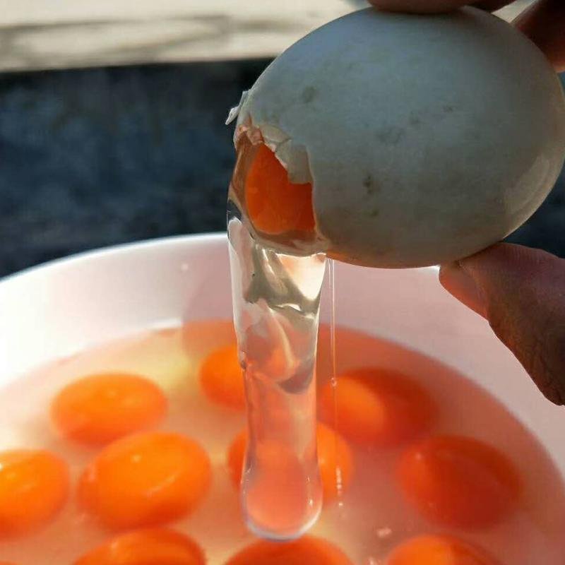 新鲜鸭蛋生鸭蛋农家散养草鸭蛋土鸭蛋海鸭蛋绿青皮壳 70g标准蛋VCPUTMGOYYKFKSVBLLQFNVBVZDW