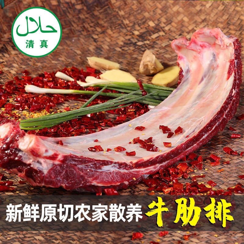 赛卡伊 新鲜牛排骨牛肋排带骨牛肉原切黄牛排骨批发排骨肉肋骨小排 多肉排骨【整块】 2斤装