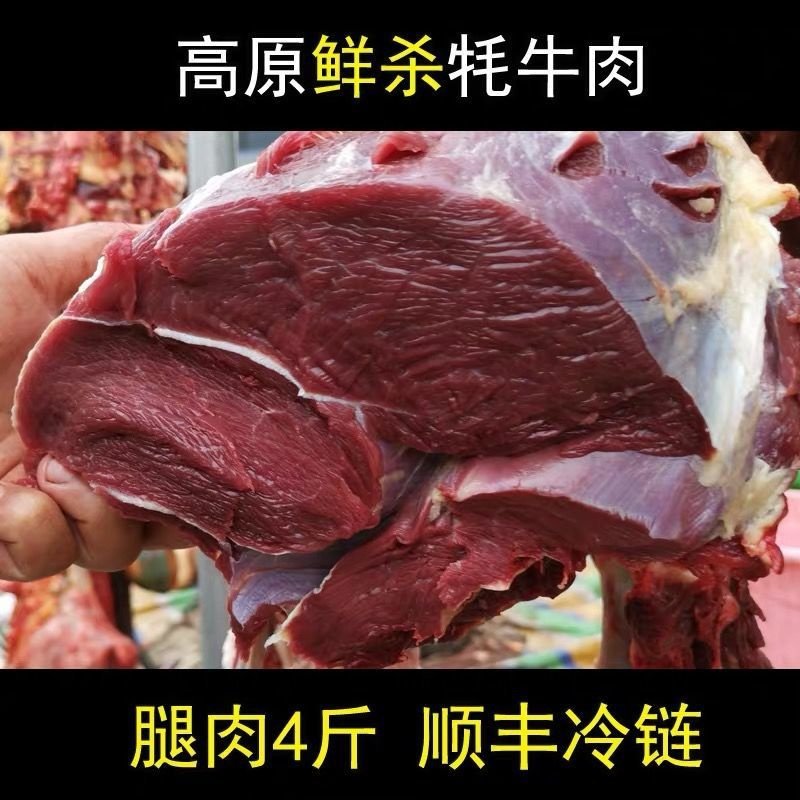 赛卡伊 川西高原牦牛肉新鲜牛肉冰鲜装新鲜耗牛肉里脊后腿肉牛腩牛腱牛肉 牦牛后腿肉 4斤装