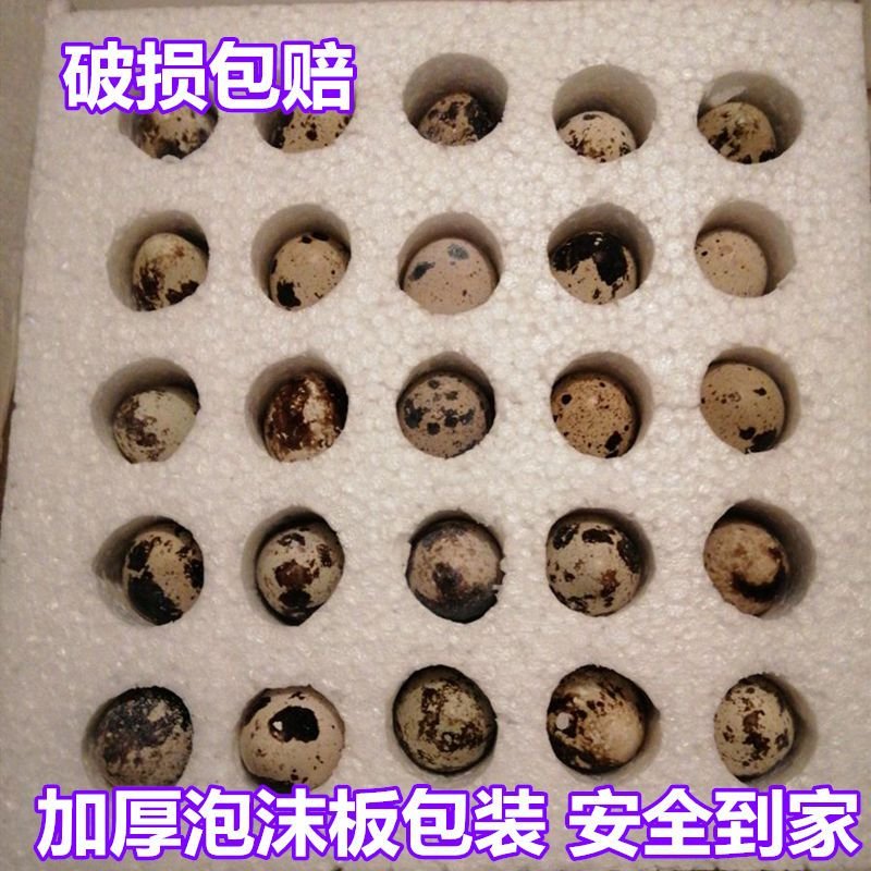 顺丰100枚 【 卤料】农家杂粮喂养新鲜生鹌鹑蛋1198QAYZDMLKLDEPASPQBBUMEVCBVLFJI