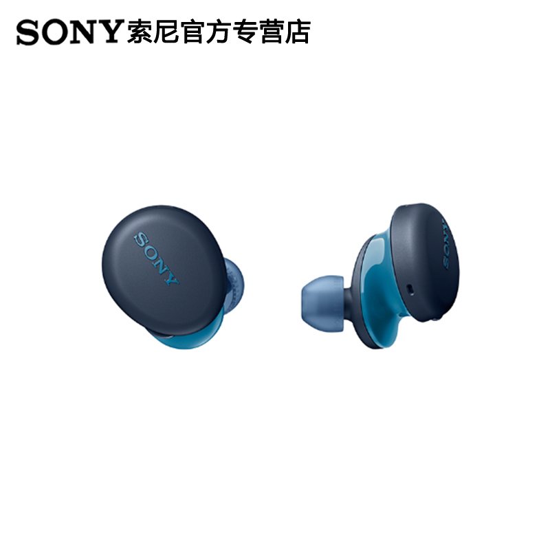 索尼(SONY)WF-XB700真无线重低音入耳式蓝牙耳机 人声清晰自然节奏感强 4级防水防汗运动出街键控 XB_18