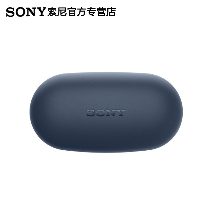 索尼(SONY)WF-XB700真无线重低音入耳式蓝牙耳机 人声清晰自然节奏感强 4级防水防汗运动出街键控 XB_18