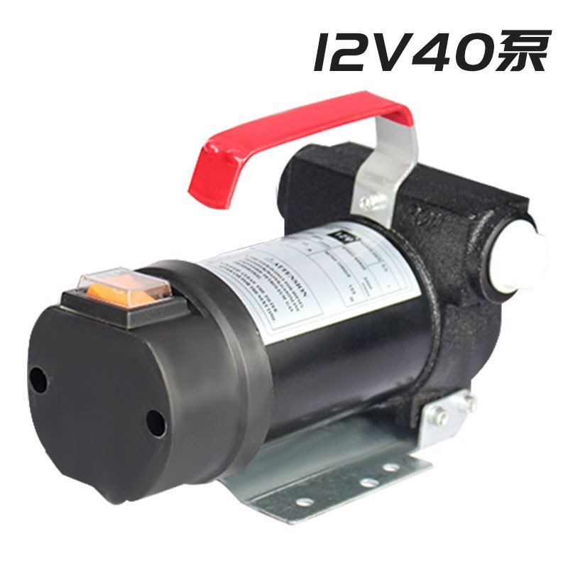 抽油泵电动柴油12V24V220V抽油器加油机小型便携式自吸油泵闪电客泵 220V40L套餐