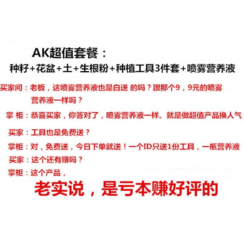 玫瑰花种孑春天花种室内四季开花易活鲜花卉盆栽种籽花植物种子 AK红玫瑰100粒套餐_159