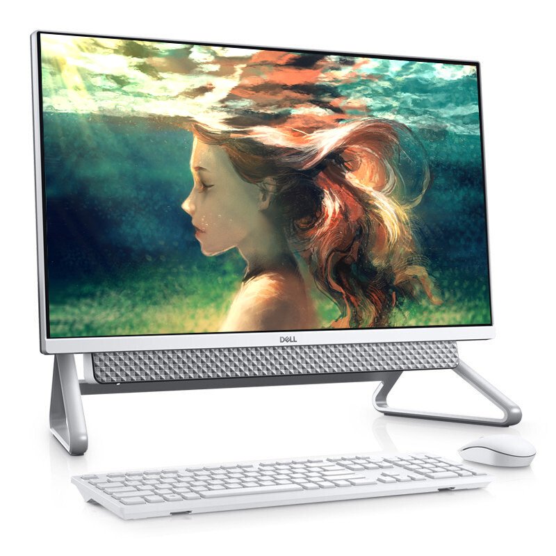 戴尔(DELL)灵越5400 23.8英寸 黑色 11代处理器 i5-1135G7 核显 8G 1T 256G固态