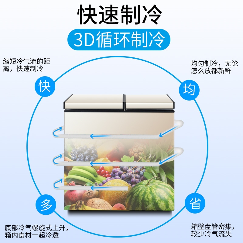 时光旧巷冰雪小冰柜家用全冷冻小型冰柜保鲜冷冻两用冷柜双温商用冰箱(5za)_0