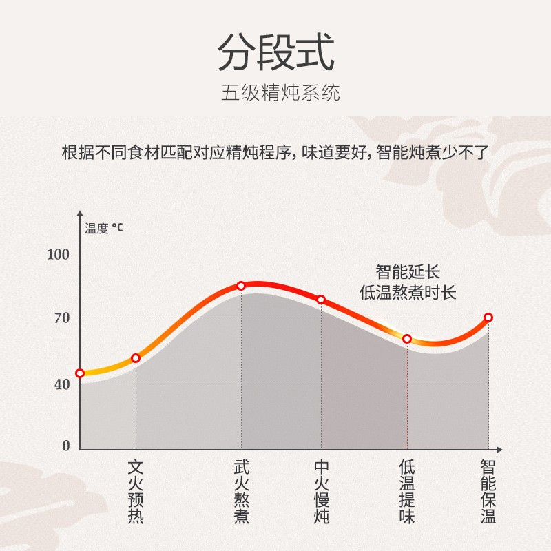 九阳（Joyoung）电炖锅电炖盅5L大容量紫砂预约电砂锅智能定时精炖煮粥煲汤锅DG50Z-GD510 5L紫砂 5级精