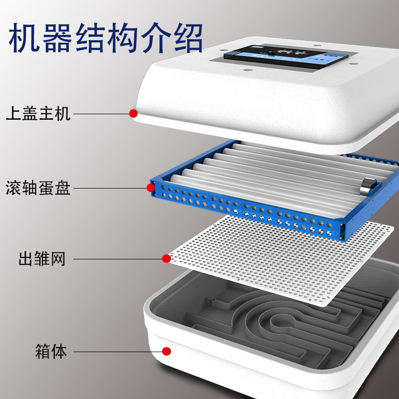 孵化器小型家用孵化机全自动智能水床孵蛋器全自动家用型迷你儿童 9枚全自动智能滚轴单电