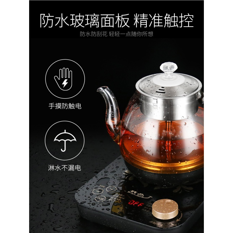 小型煮茶壶黑茶壶煮茶器家用全自动蒸汽喷淋式玻璃养生壶办公室 金色煮茶器0.8升+玻璃把杯*6