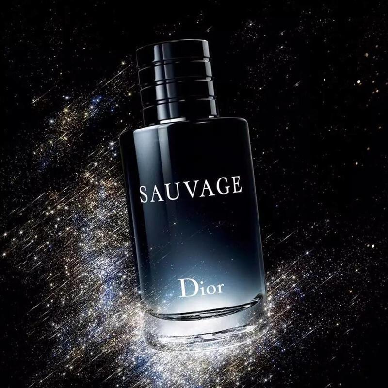 迪奥（Dior）旷野男士淡香水100ML