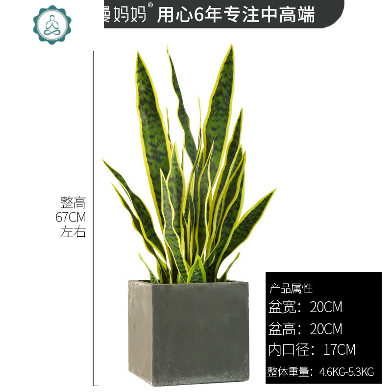 仿真植物虎皮兰落地植物家居装饰橱窗摆件落地盆栽 封后 859架子+虎皮兰组合套餐预售