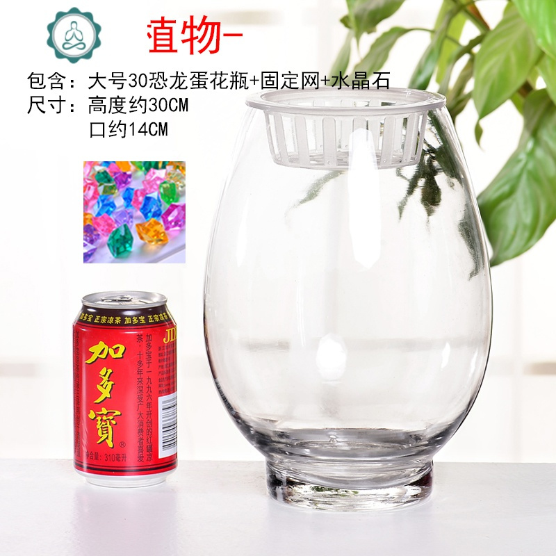 水培恐龙蛋绿萝花瓶花盆 透明玻璃花瓶富贵竹水养植物容器花盆 封后 高度约30CM（略大）+固定网+水晶石混色30颗