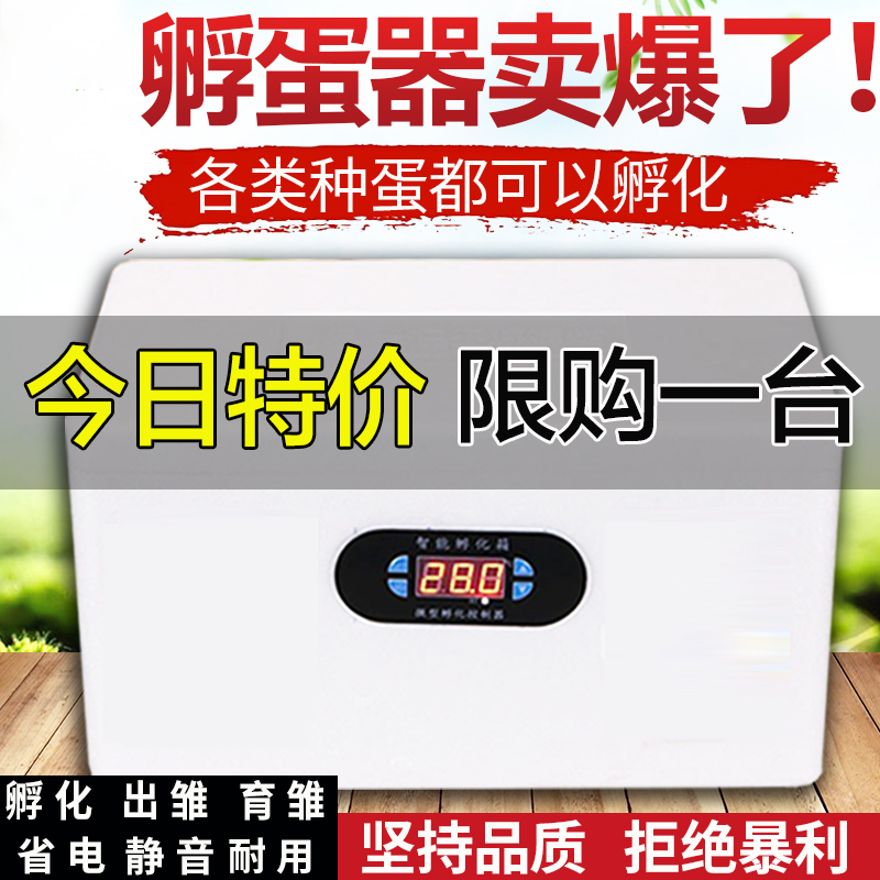 智能水床孵化机全自动家用小型孵化器20枚鸡鸭鹅鸽子蛋孵化箱设备 新款36枚双电全自动孵化机