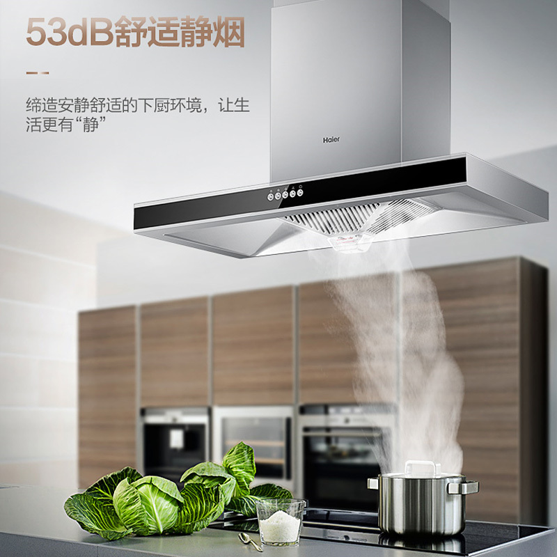 自清洁烟机+4.2kw灶具（液化气） Haier/海尔吸排抽油烟机燃气灶套餐厨房家用大吸力顶吸式W926IN