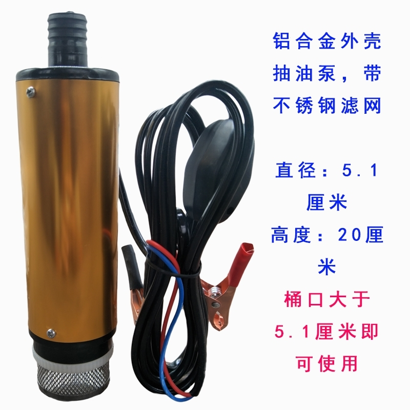 抽油泵柴油12V24伏电动小型自吸油泵加油枪抽油机器油抽子抽水泵(2e0)_9