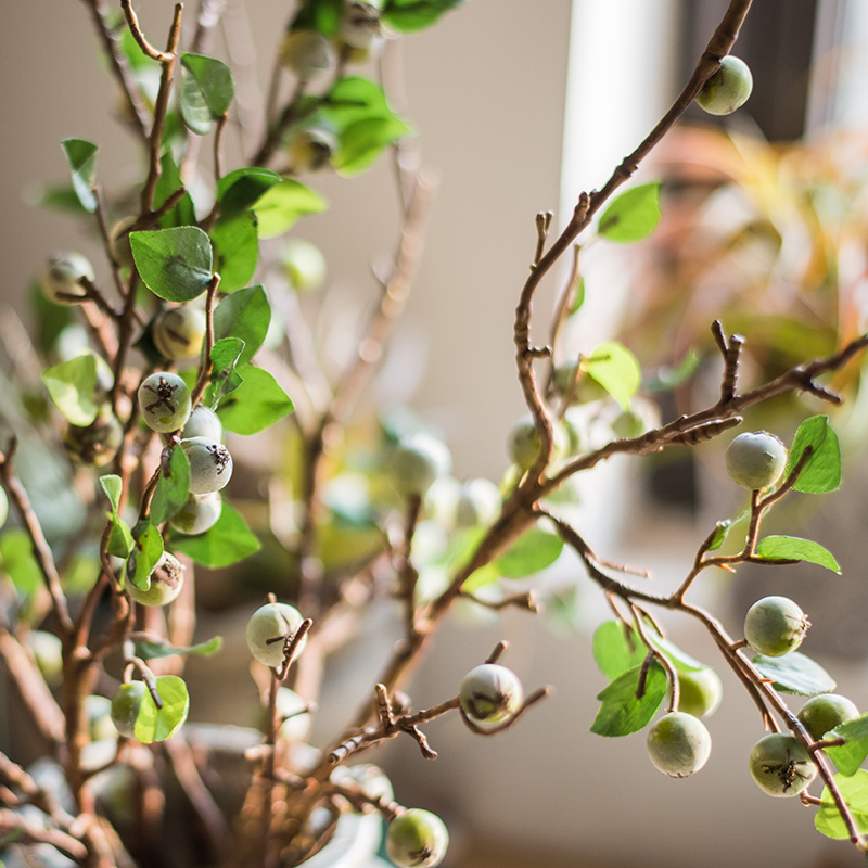 大野果仿真植物 高枝子果树枝浆果 手感胶仿真花花环欧式 风灯花器A+大野果青绿3支