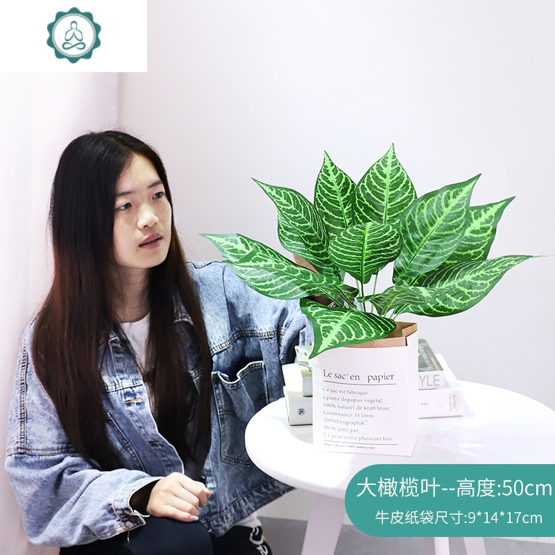 北欧ins风仿真植物装饰小摆件客厅桌面盆栽家居室内假花绿植盆景 封后 大橄榄叶50cm-纸袋-_645