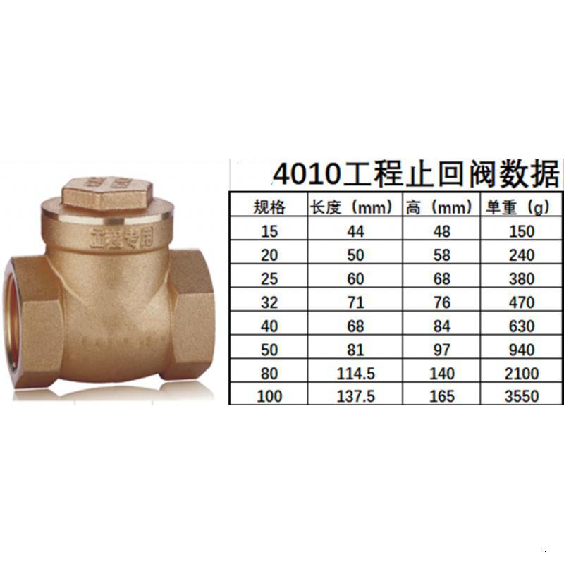 闪电客BZ4030立式消声止回阀弹簧止回阀BZ4010工程止回阀卧式止回阀 DN20立式_429