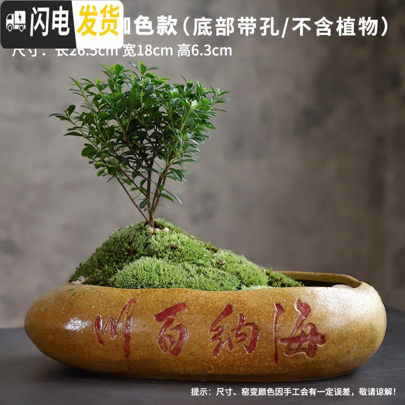 三维工匠多肉花盆大口径特价清仓特大号陶瓷绿植肉肉盆器创意个性粗陶拼盘 款式-16 大