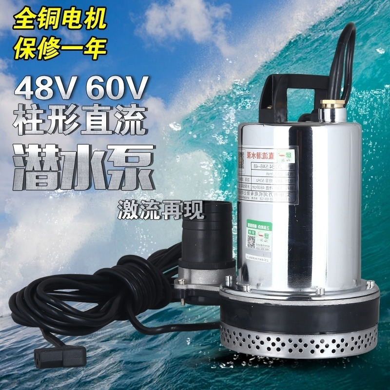 直流水泵家用12V自吸水泵抽水泵微型不锈钢潜水泵农用抽水机(b81)_17