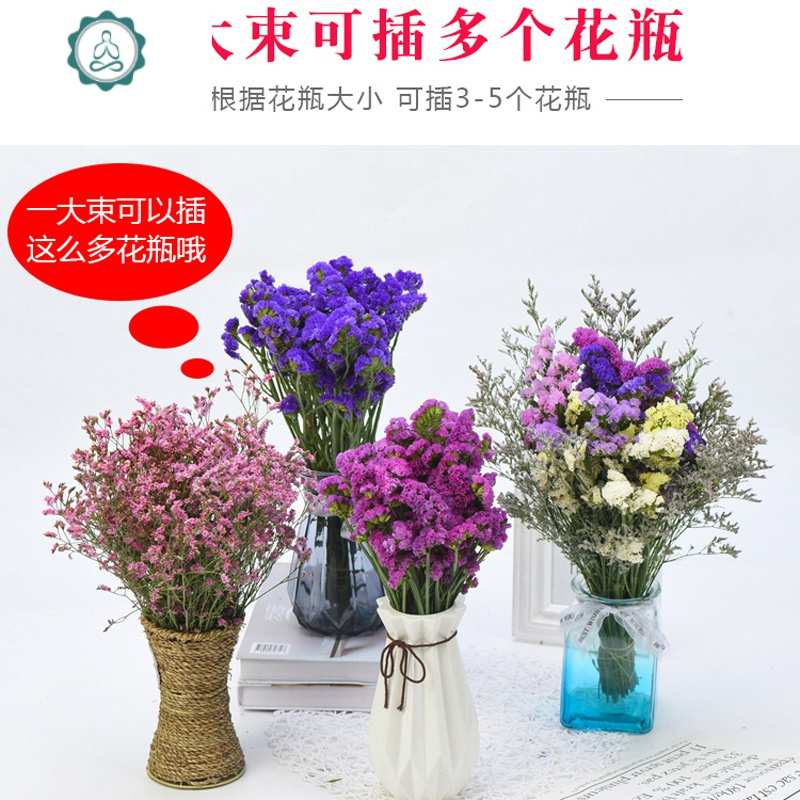 云南真花干花花束批发家居摆设小清新客厅勿忘我永生装饰满天星混 封后 6色混搭+粉色水晶草2斤不含桶