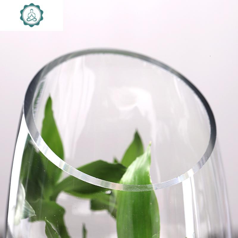 欧式玻璃花瓶 创意龙蛋造型干花插花花器客厅富贵竹装饰摆件 封后