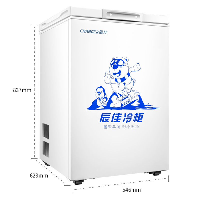 辰佳 （Changer )BC/BD(W)-100 100升家用小型冰柜冷藏冷冻转换冷柜