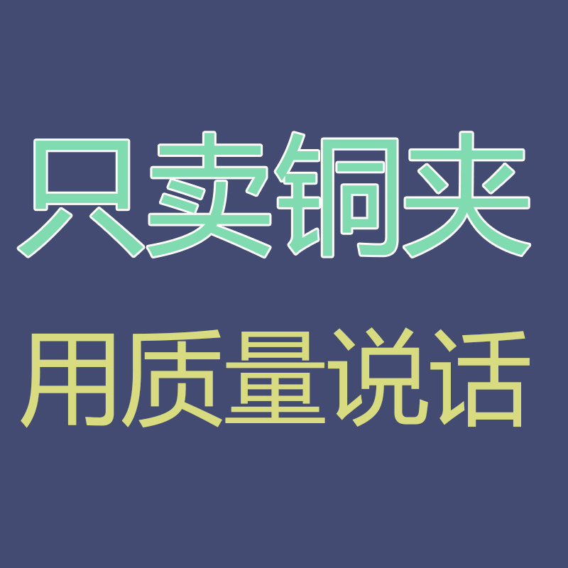 汽车电瓶充电器搭电连接线江龙夹子小夹子 纯铜 加厚 强力大小号 2BHQWYCKCXZTJRXHQUICVHLIDGMI