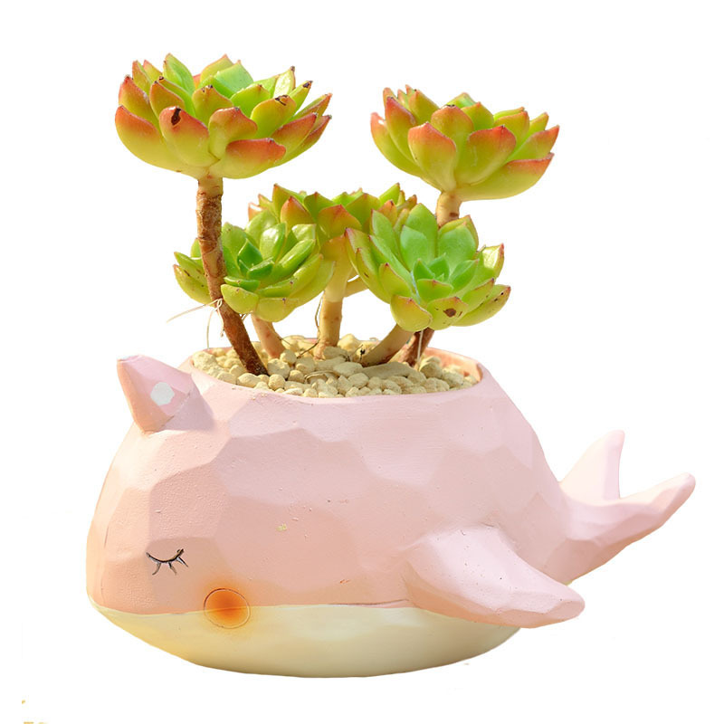 田园多肉花盆可爱动物花盆鲸鱼花园派对古达创意小花盆套餐 花色粉鲸