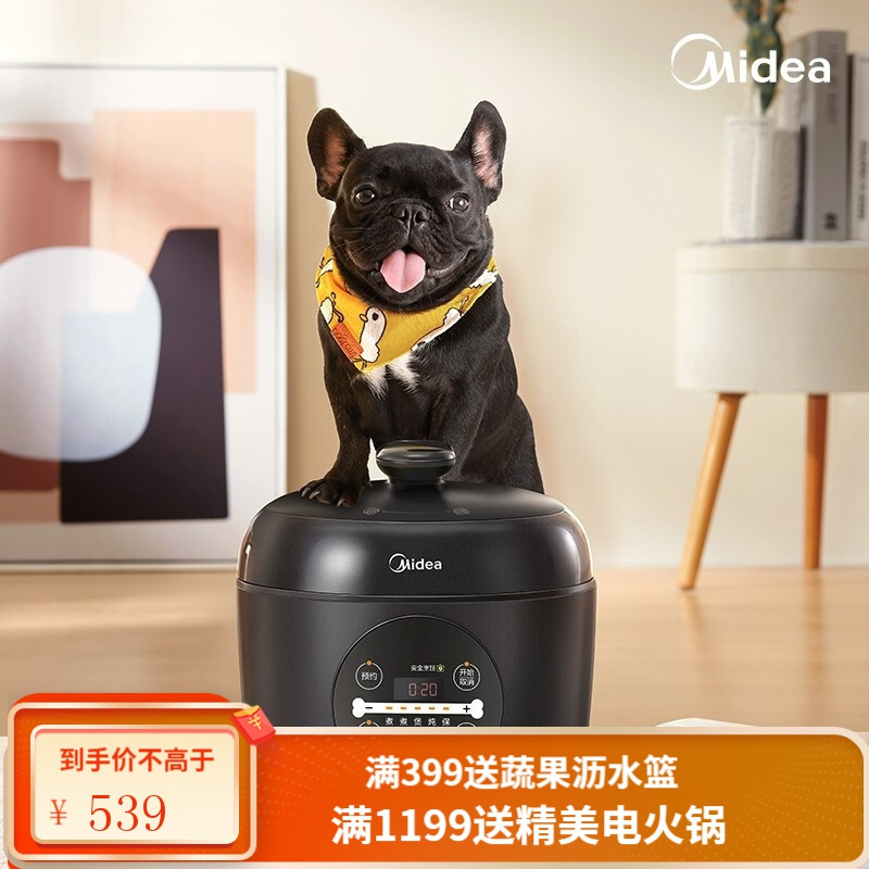 美的(Midea) 电压力锅智能迷你小型家用高压快煮24小时预约2.5L电高压锅 网)的网压