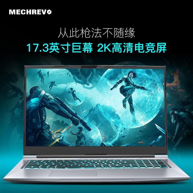 机械革命（MECHREVO）X8Pro 17.3英寸笔记本i7-11800H 32G 1T+1T 独显