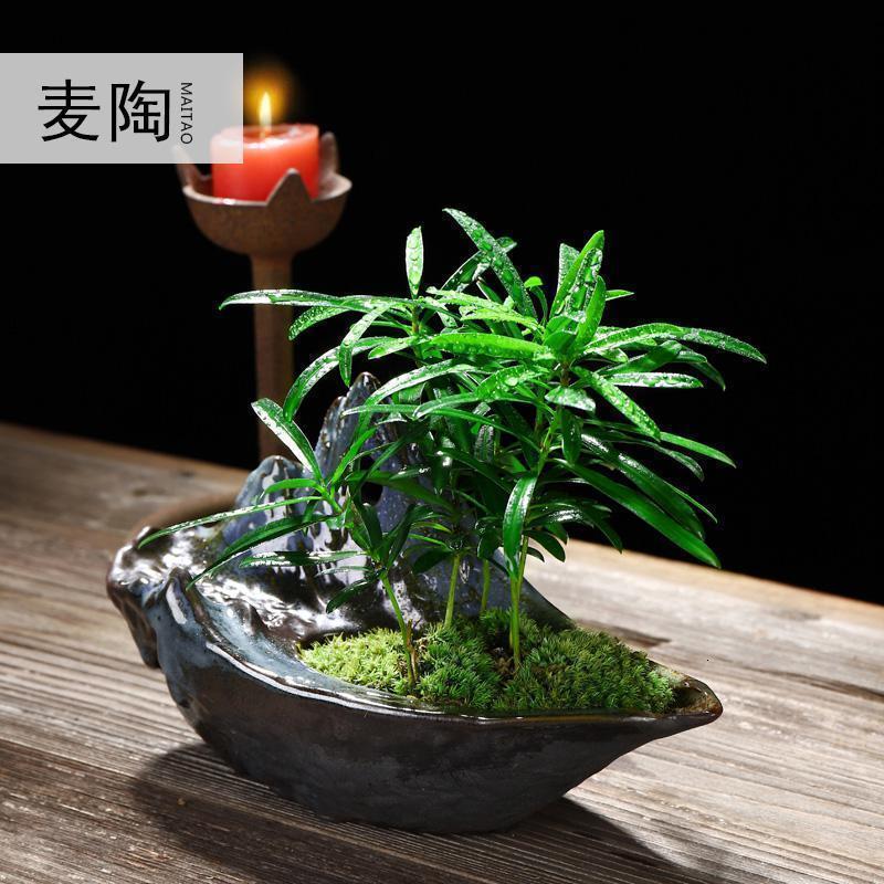 创禅意哥窑陶瓷花盆室内家用桌面简约透气盆栽绿萝兰植物装饰品_709