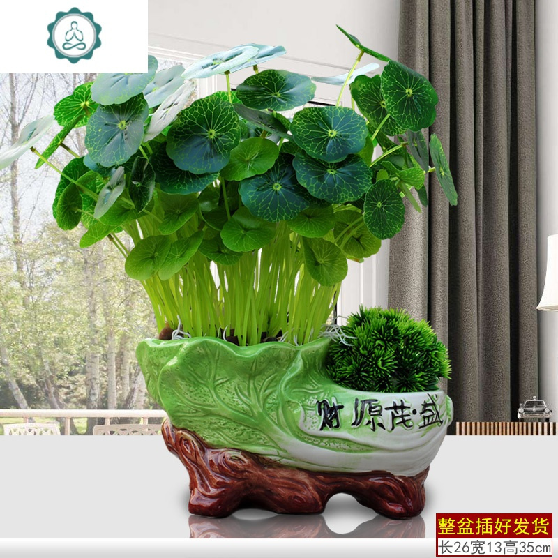 红掌仿真植物假花仿真花绿植花卉家居装饰品塑料花客厅摆件假盆栽 封后 白菜铜钱草盆景套装