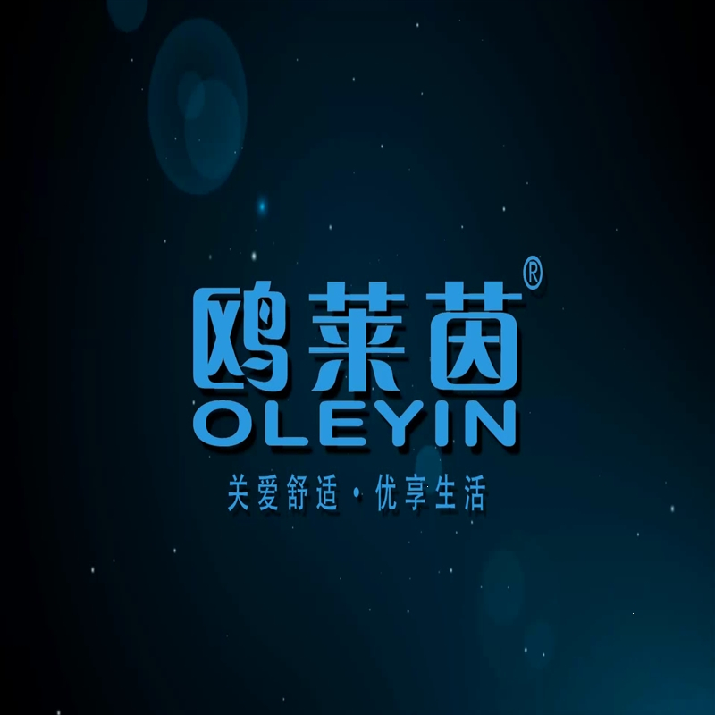 鸥莱茵(OLEYIN)集成灶蒸烤一体厨房家用天然气液化气烟灶消套装集(DAF)_10