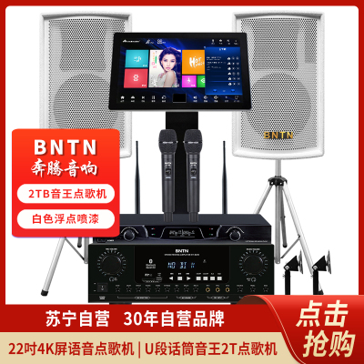 奔腾（BNTN）家庭KTV会议音响家庭影院全套触摸屏一体机点歌机卡拉OK无线点唱机2TB硬盘8200配白豪庭黑点歌机