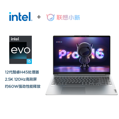 联想小新Pro 16 IAH7GRXI512500H16G51211C