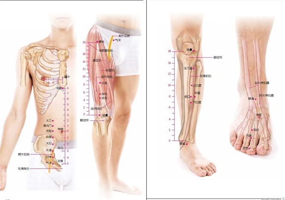 人體經絡穴位大圖冊漢竹