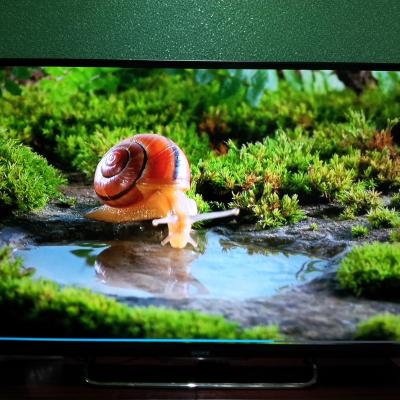 索尼彩电kdl-50w800b