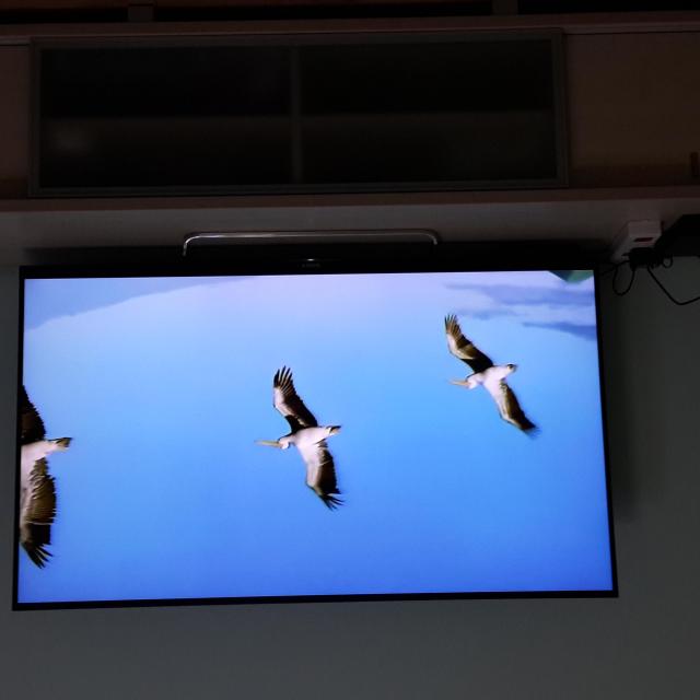 索尼(sony) kdl-55w800b 55英寸 全高清3d无线wifiled液晶电视