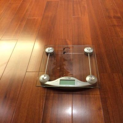 香山家庭用人体秤eb9003l