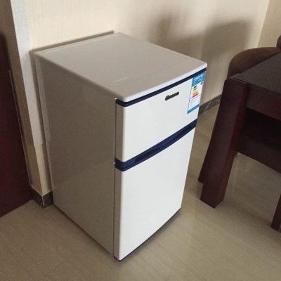 欧力bcd-92d 92l 双门冰箱(白色)