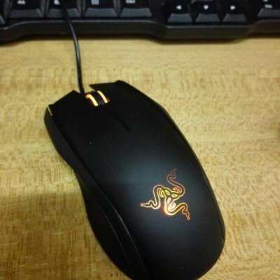 雷蛇(razer) krait 金环蛇 有线游戏鼠标 双手通用