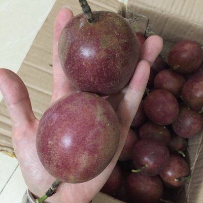 【福至亲】广西新鲜百香果5斤装 中大果 40个左右